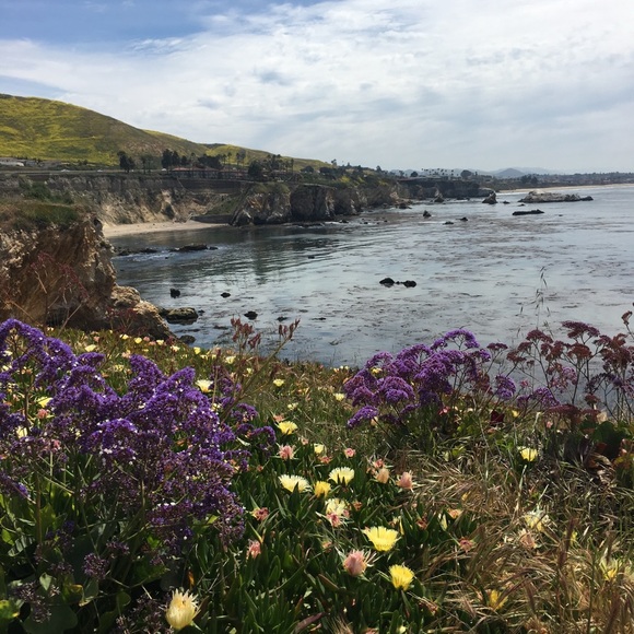 Meet your Posher, Janine - Picture 11 of 14